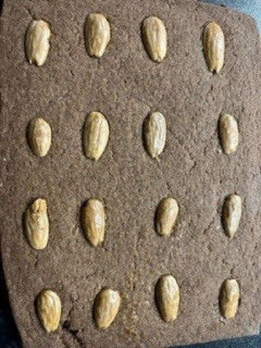 Afbeelding van Speculaas Brok
